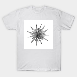 Zig Zag Star T-Shirt